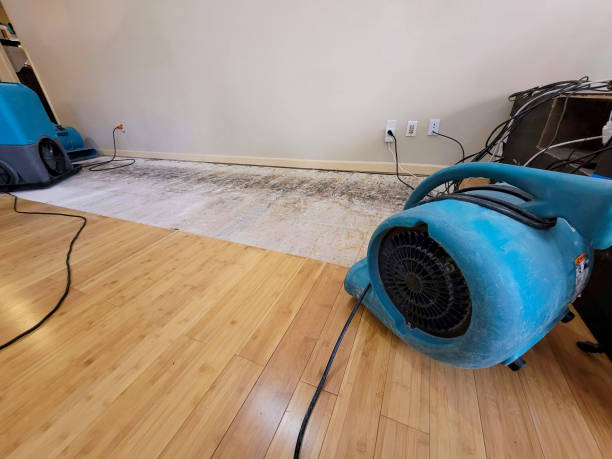 Professional Water Damage Repair technician working in Farmingdale, NY